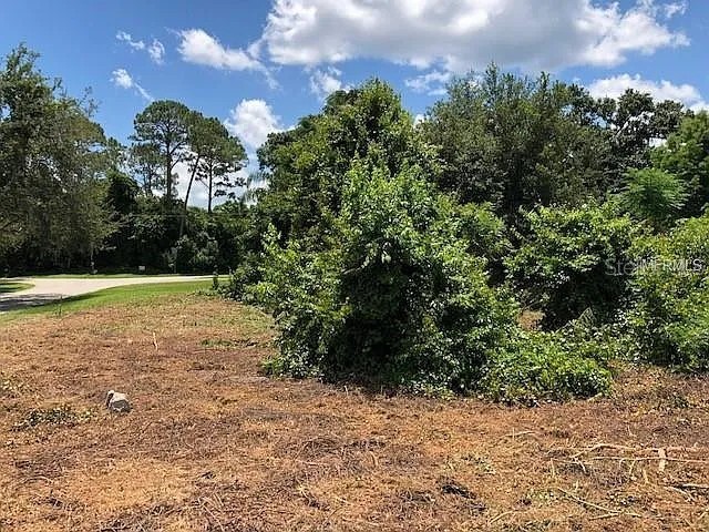 257 Lake Lane Debary FL 32713 V4948188 image11