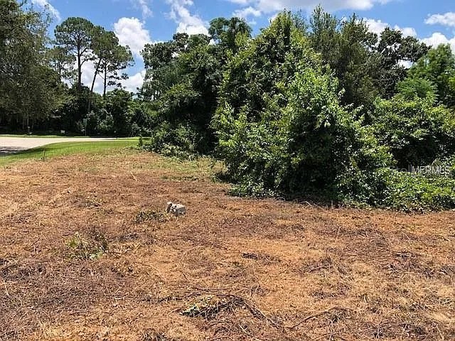 257 Lake Lane Debary FL 32713 V4948188 image3