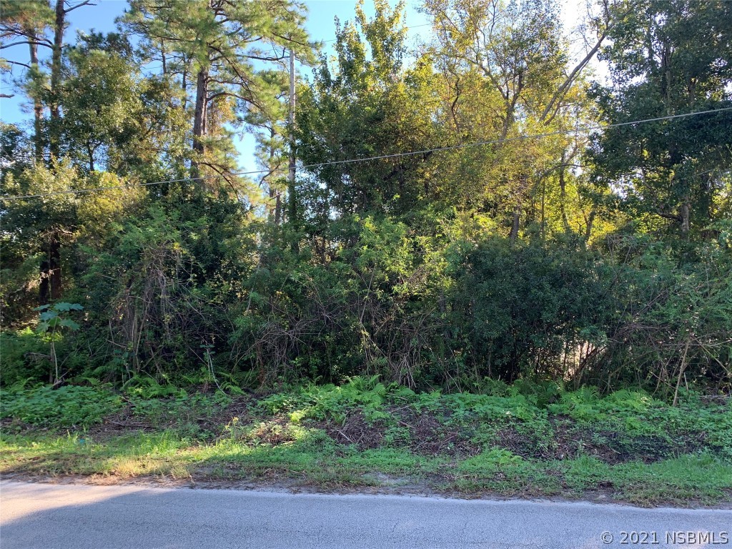 257 Lago Vista Street Debary FL 32713 NS1066494 image1