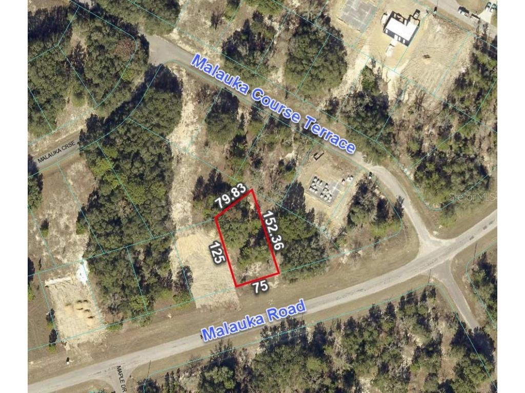 257 Malauka Road Ocklawaha FL 32179 O6136859 image1