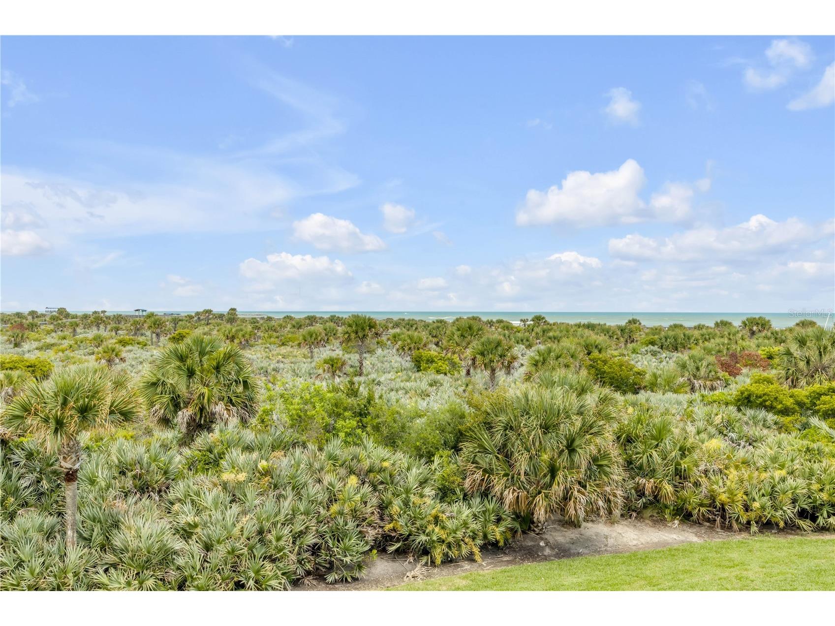 257 Minorca Beach Way #103 New Smyrna Beach FL 32169 NS1088244 image54