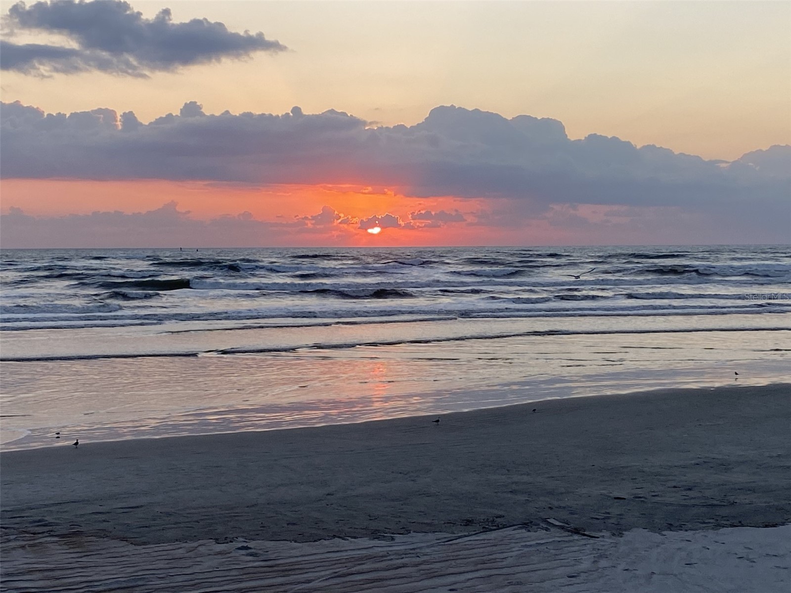 257 Minorca Beach Way #504 New Smyrna Beach FL 32169 - ATLANTIC OCEAN NS1088245 image50