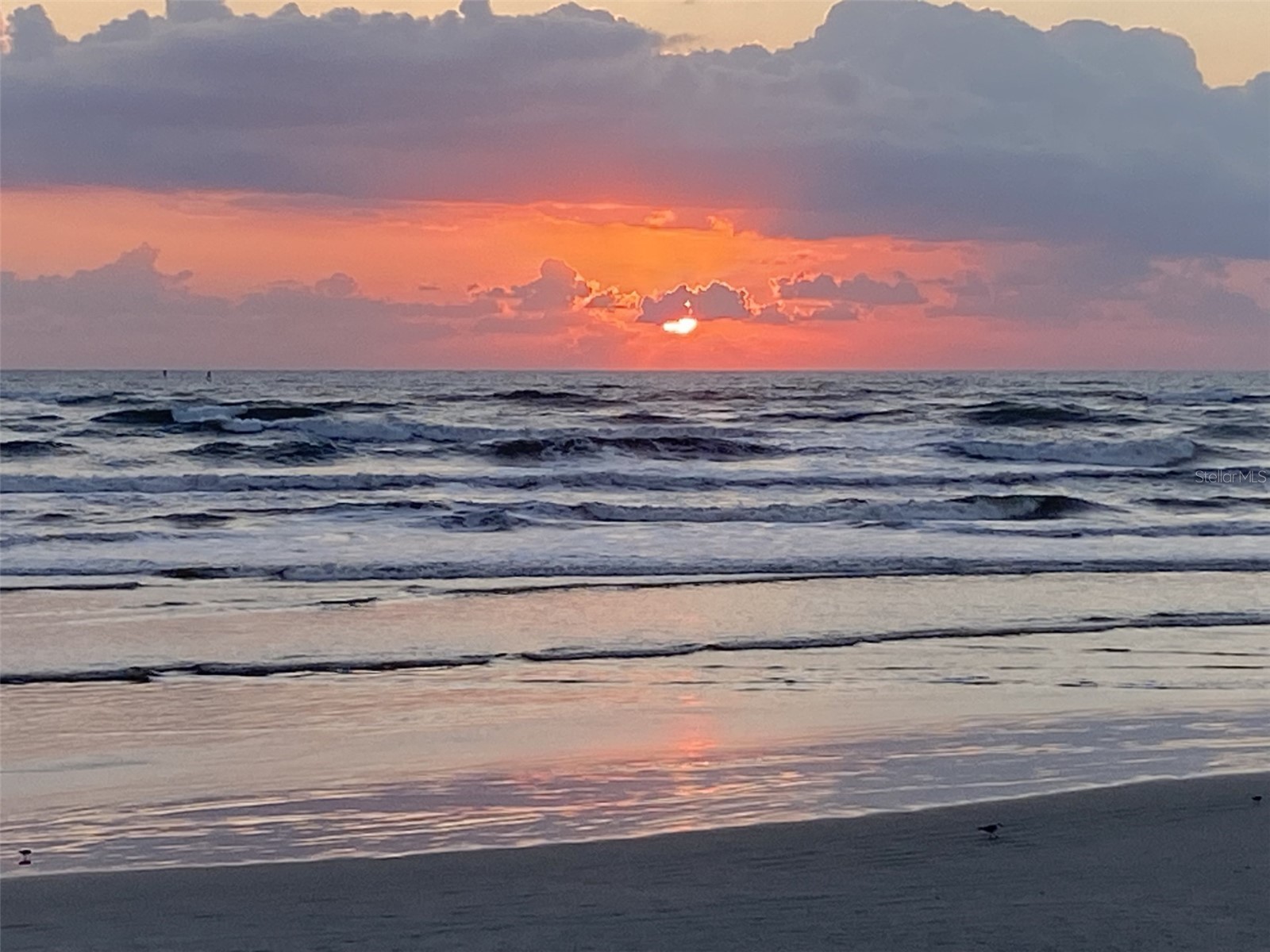 257 Minorca Beach Way #504 New Smyrna Beach FL 32169 - ATLANTIC OCEAN NS1088245 image51
