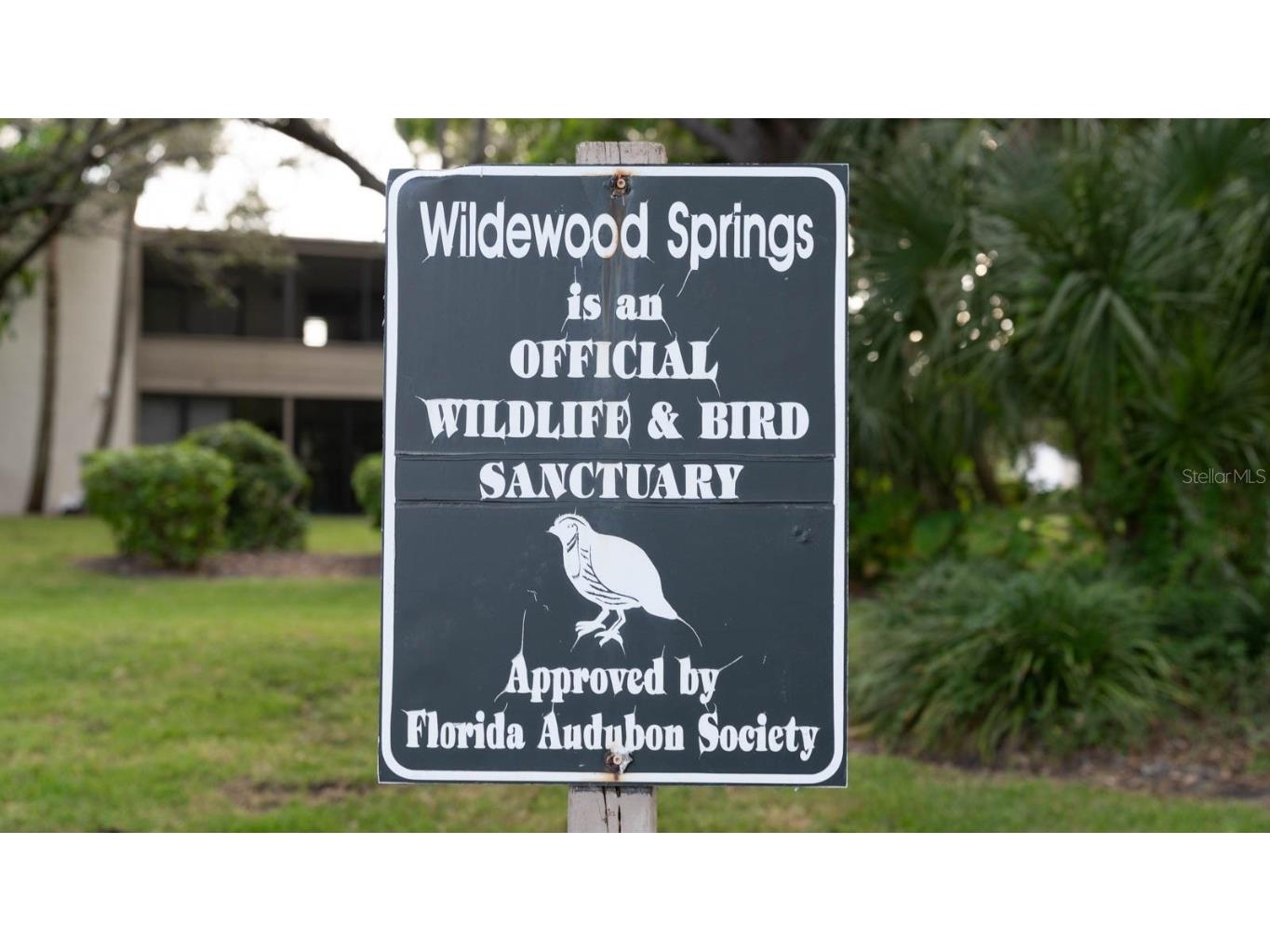 257 Sherwood Drive #257 Bradenton FL 34210 TB8439451 image15