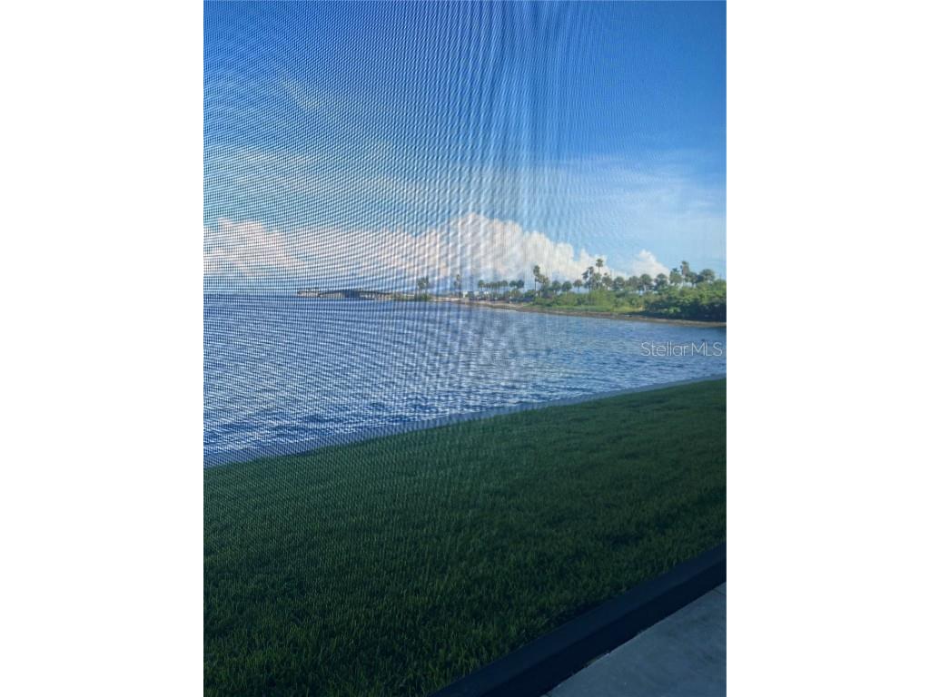 2570 Gary Circle #3 Dunedin FL 34698 - ST. JOSEPH SOUND U8253523 image76