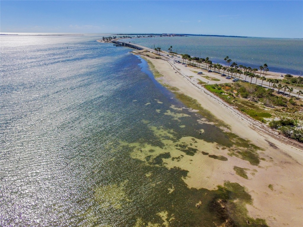 2570 Gary Circle #4 Dunedin FL 34698 TB8428388 image2