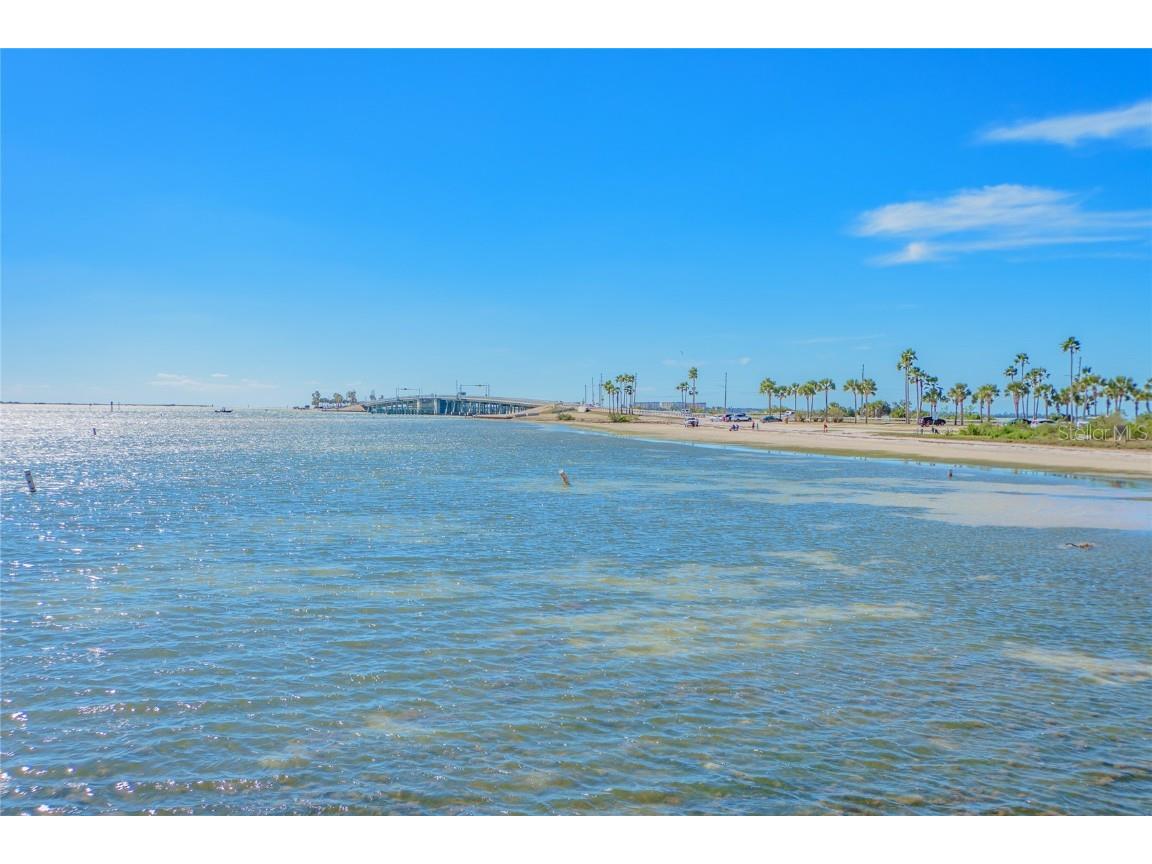 2570 Gary Circle #4 Dunedin FL 34698 TB8428388 image20