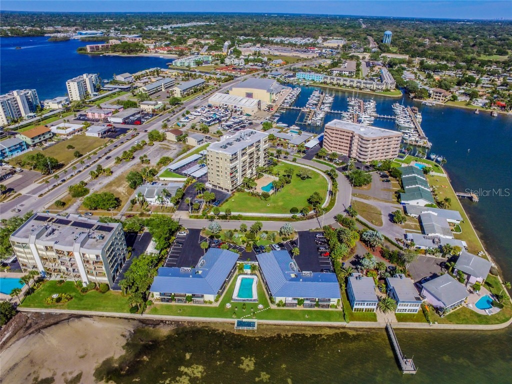 2570 Gary Circle #4 Dunedin FL 34698 TB8428388 image3