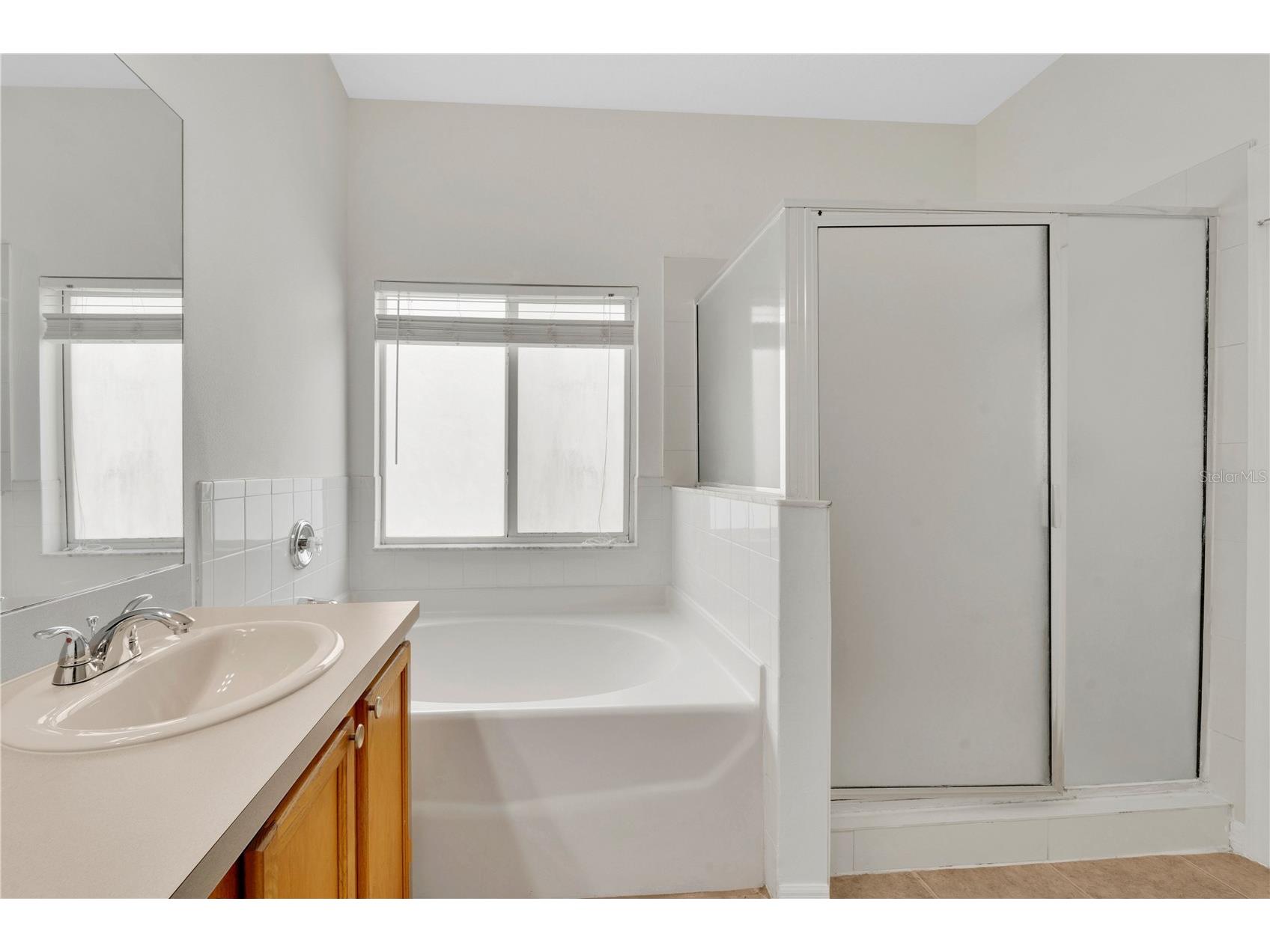 25702 Aldus Drive Land O Lakes FL 34639 O6413254 image18