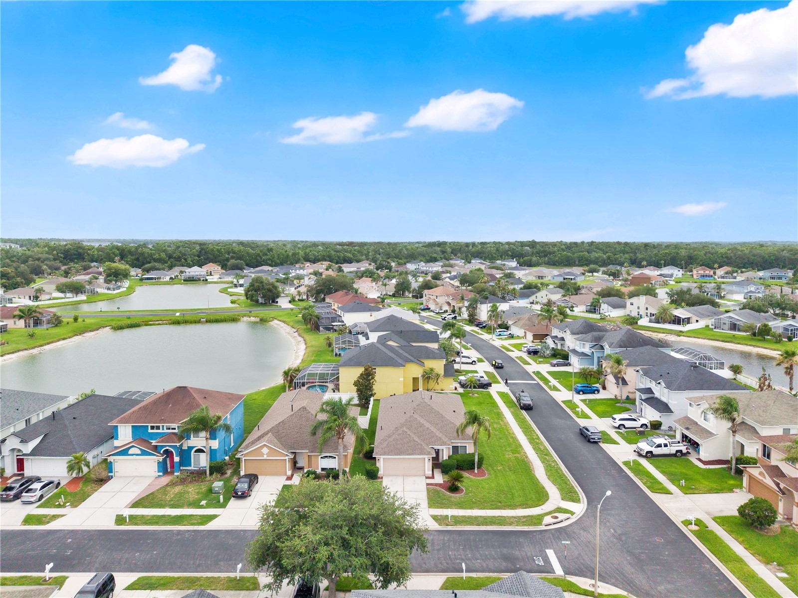 25702 Aldus Drive Land O Lakes FL 34639 O6413254 image34