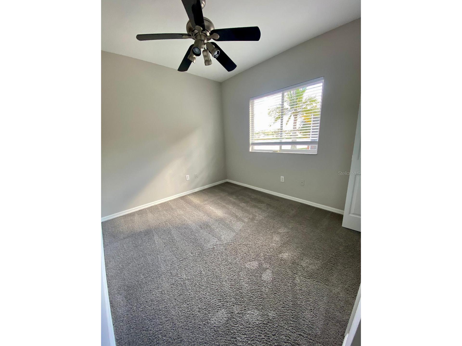 25708 Aldus Drive Land O Lakes FL 34639 TB8439622 image12