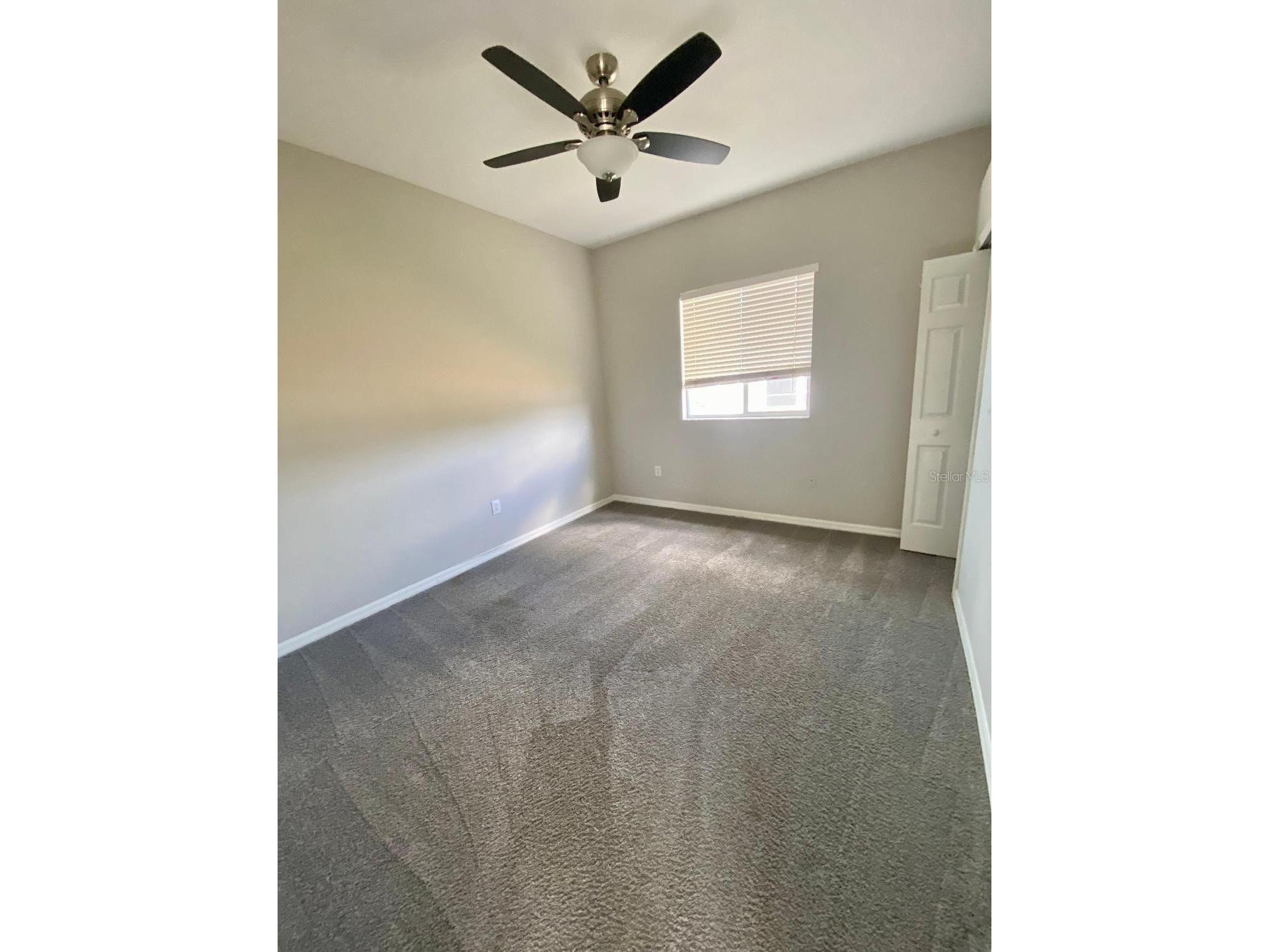 25708 Aldus Drive Land O Lakes FL 34639 TB8439622 image13