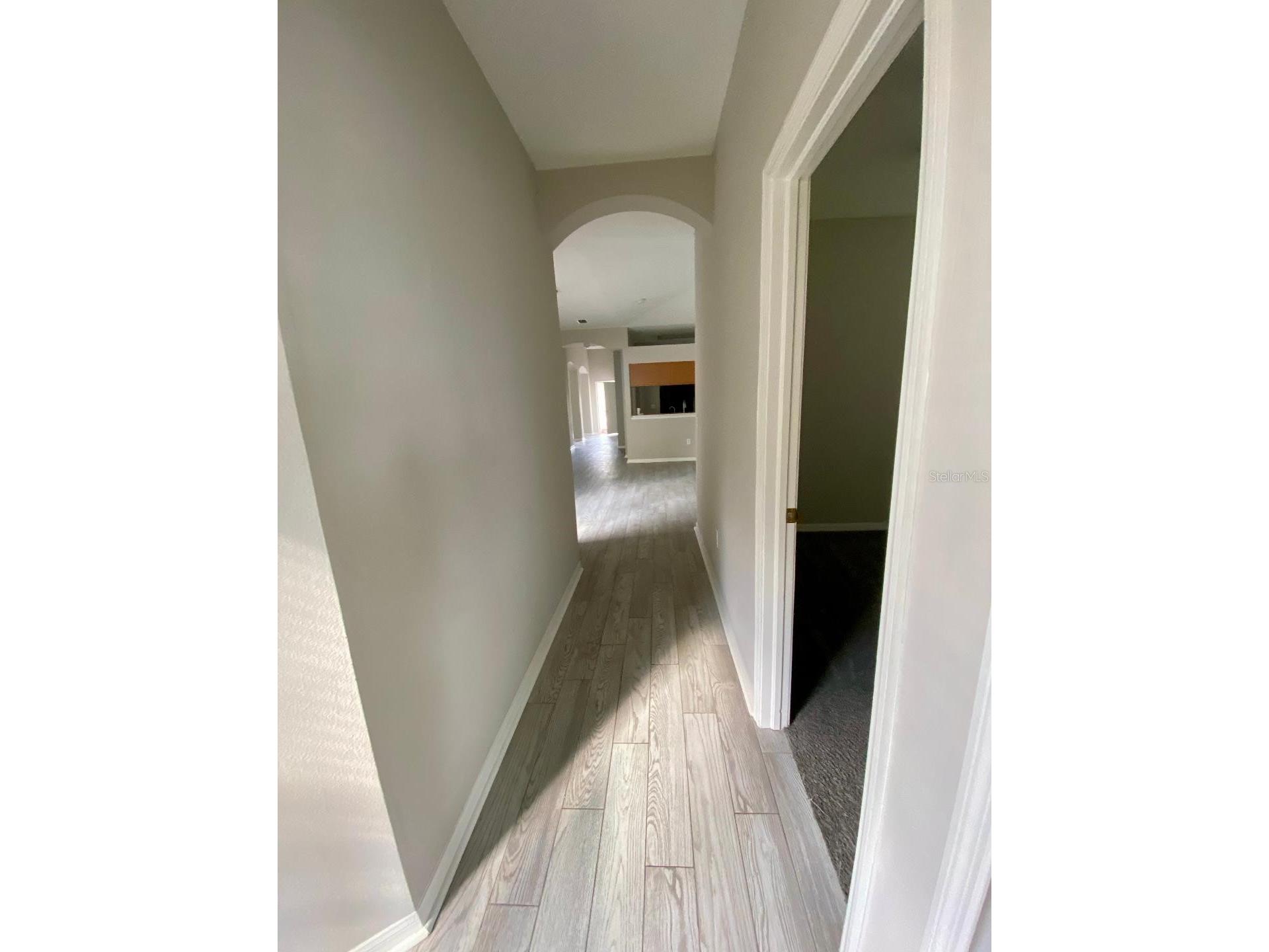 25708 Aldus Drive Land O Lakes FL 34639 TB8439622 image9