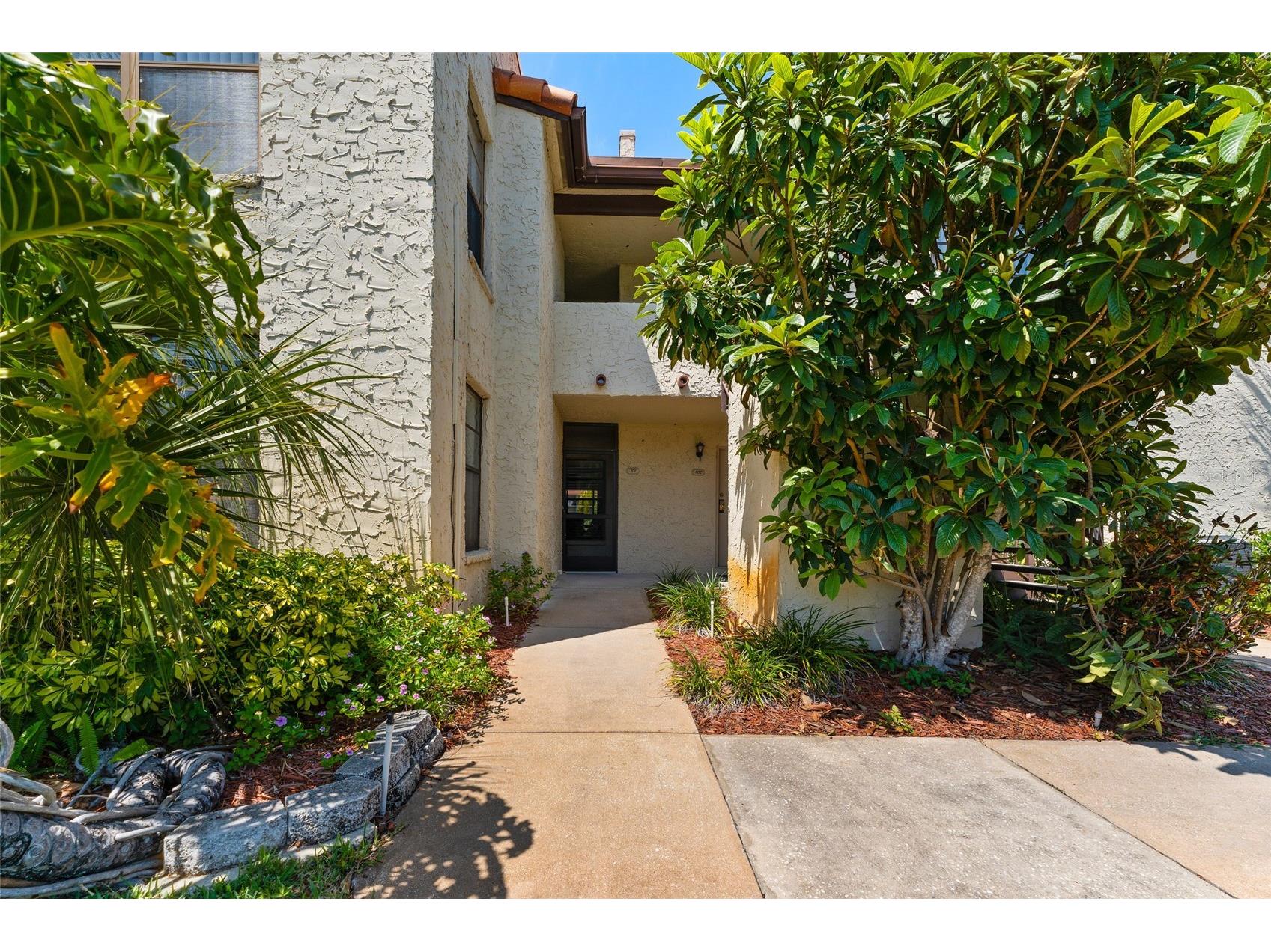 2571 Cyprus Drive #1-101 Palm Harbor FL 34684 TB8512661 image6