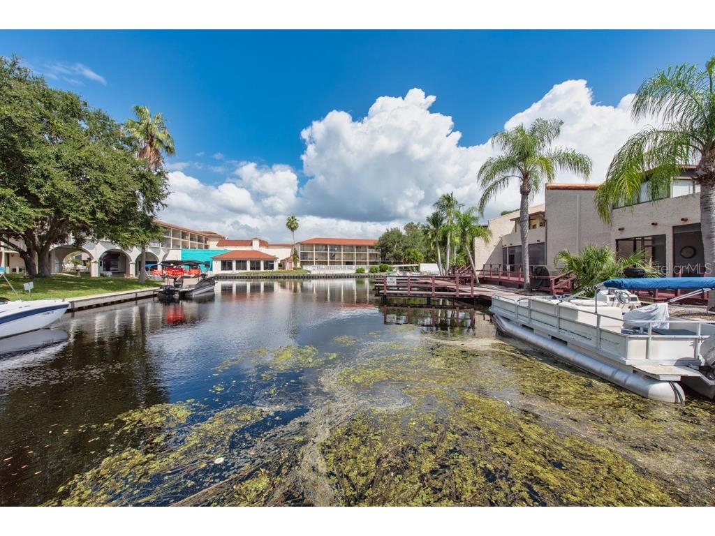 2571 Cyprus Drive #1-102 Palm Harbor FL 34684 TB8434490 image29