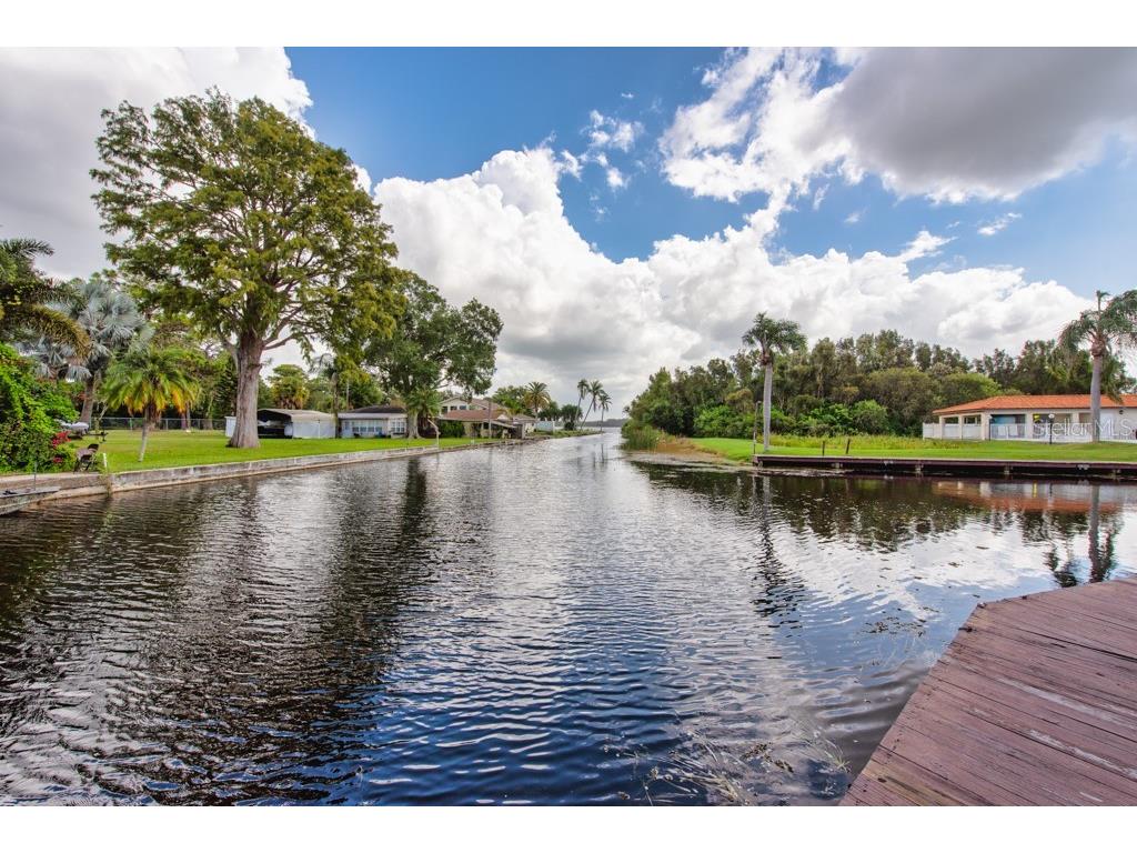 2571 Cyprus Drive #1-102 Palm Harbor FL 34684 TB8434490 image33