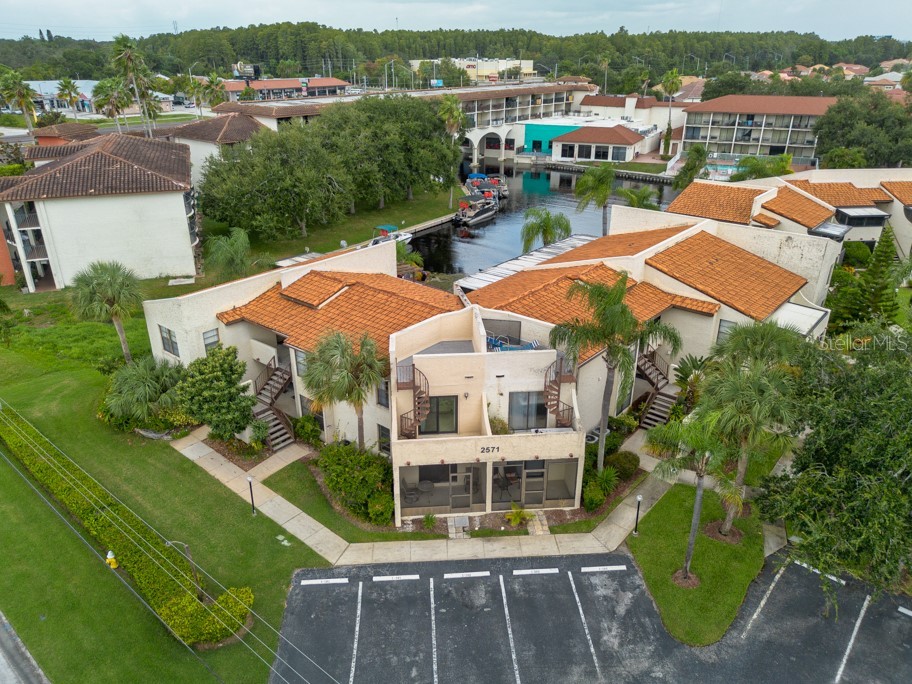 2571 Cyprus Drive #1-102 Palm Harbor FL 34684 TB8434490 image35