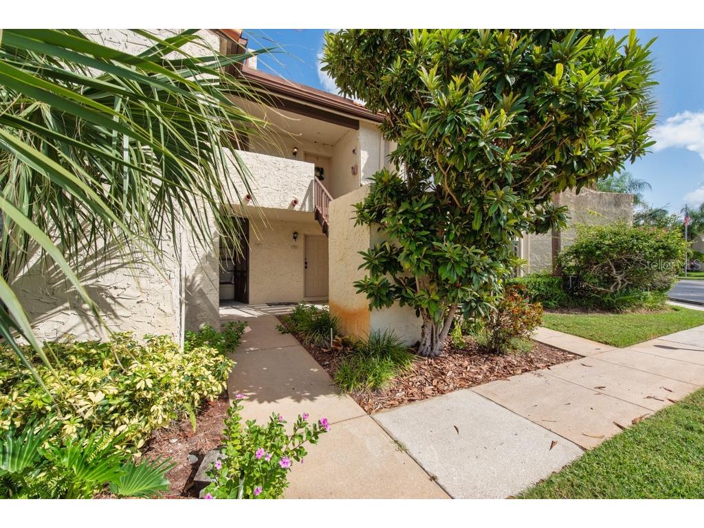 2571 Cyprus Drive #1-102 Palm Harbor FL 34684 TB8434490 image4