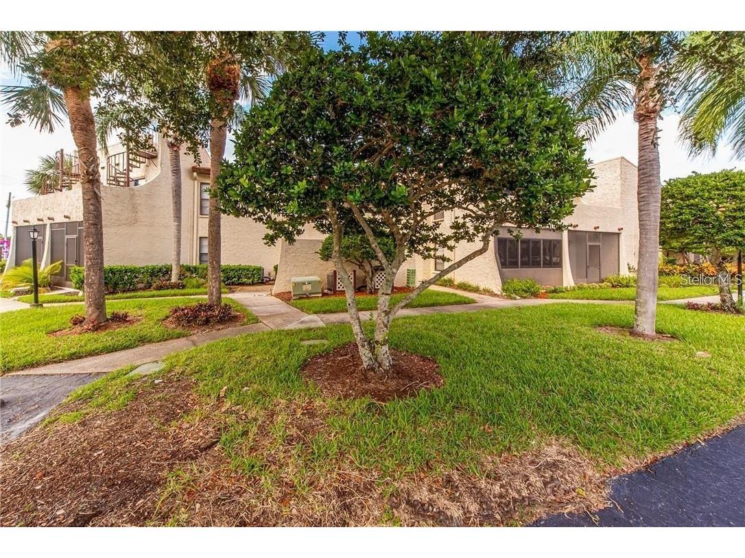 2571 Cyprus Drive #1-104 Palm Harbor FL 34684 TB8510432 image23