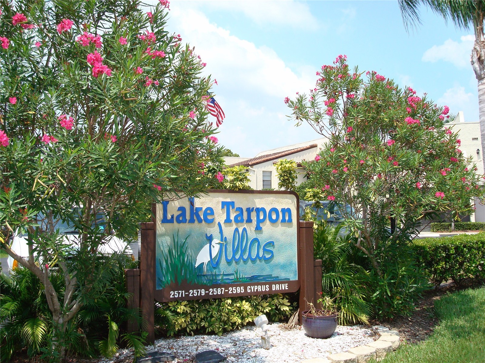 2571 Cyprus Drive #1-201 Palm Harbor FL 34684 - LAKE TARPON CANAL TB8509000 image53