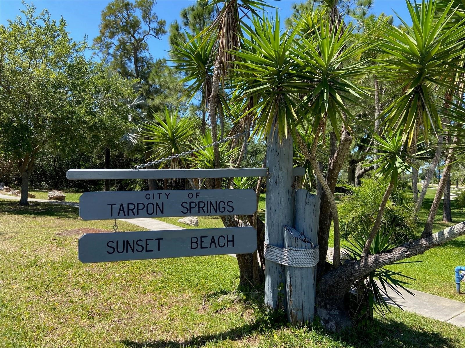 2571 Cyprus Drive #1-201 Palm Harbor FL 34684 - LAKE TARPON CANAL TB8509000 image66