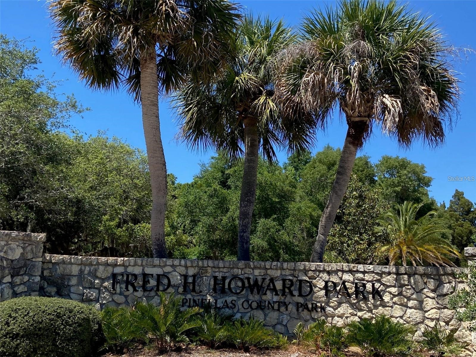 2571 Cyprus Drive #1-201 Palm Harbor FL 34684 - LAKE TARPON CANAL TB8509000 image68