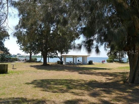 2571 Cyprus Drive #1-201 Palm Harbor FL 34684 - LAKE TARPON CANAL TB8509000 image75