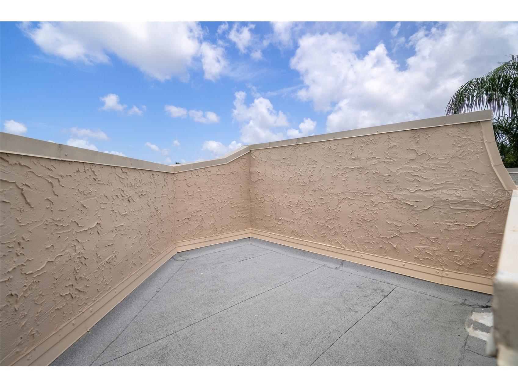 2571 Cyprus Drive #1-202 Palm Harbor FL 34684 - LAKE TARPON AND CANAL TB8409771 image32