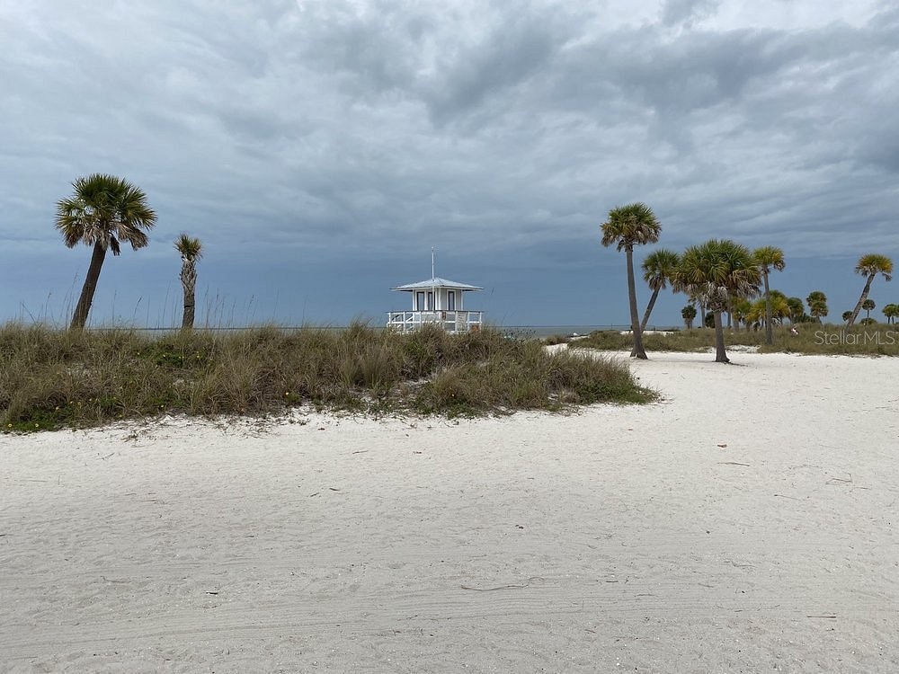 2571 Cyprus Drive #1-202 Palm Harbor FL 34684 - LAKE TARPON AND CANAL TB8409771 image53