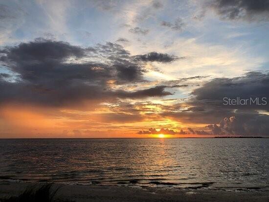 2571 Cyprus Drive #1-202 Palm Harbor FL 34684 - LAKE TARPON AND CANAL TB8409771 image55