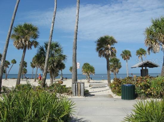 2571 Cyprus Drive #1-202 Palm Harbor FL 34684 - LAKE TARPON AND CANAL TB8409771 image57