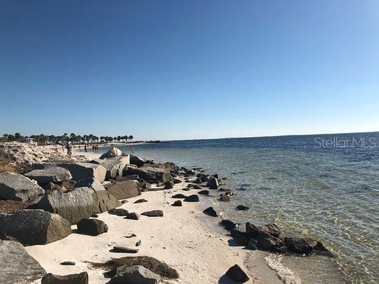 2571 Cyprus Drive #1-202 Palm Harbor FL 34684 - LAKE TARPON AND CANAL TB8409771 image59