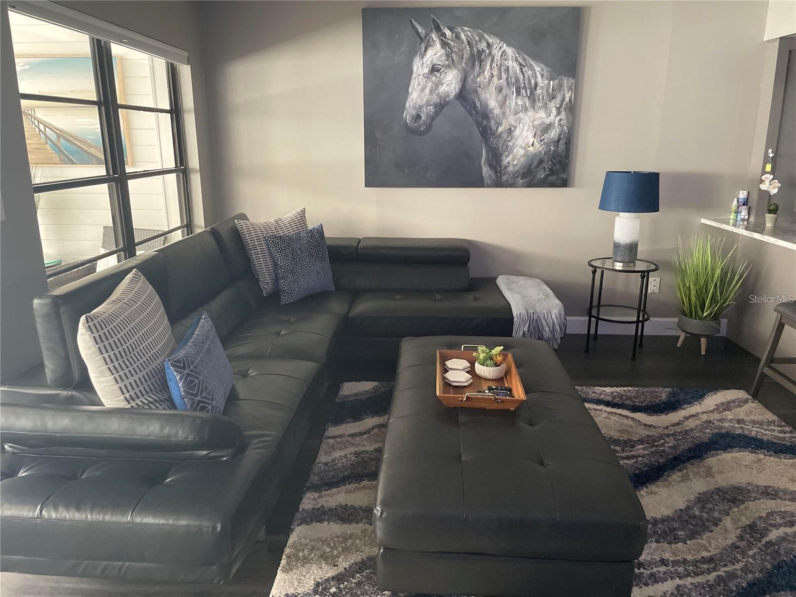 2571 Cyprus Drive #1-204 Palm Harbor FL 34684 TB8510458 image19