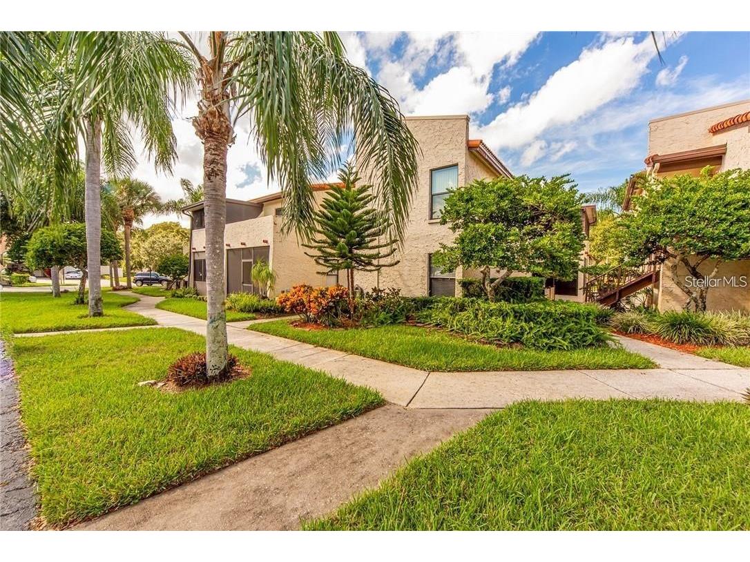2571 Cyprus Drive #1-204 Palm Harbor FL 34684 TB8510458 image23