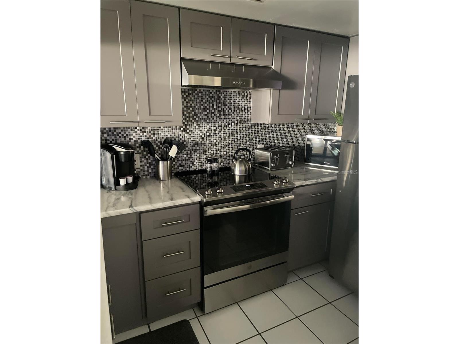 2571 Cyprus Drive #1-204 Palm Harbor FL 34684 TB8510458 image4