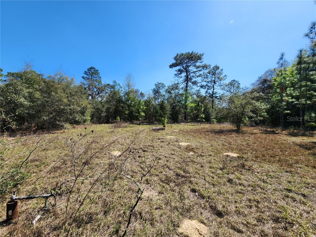 2571 SW 167 Avenue Ocala FL 34481 OM695777 image1