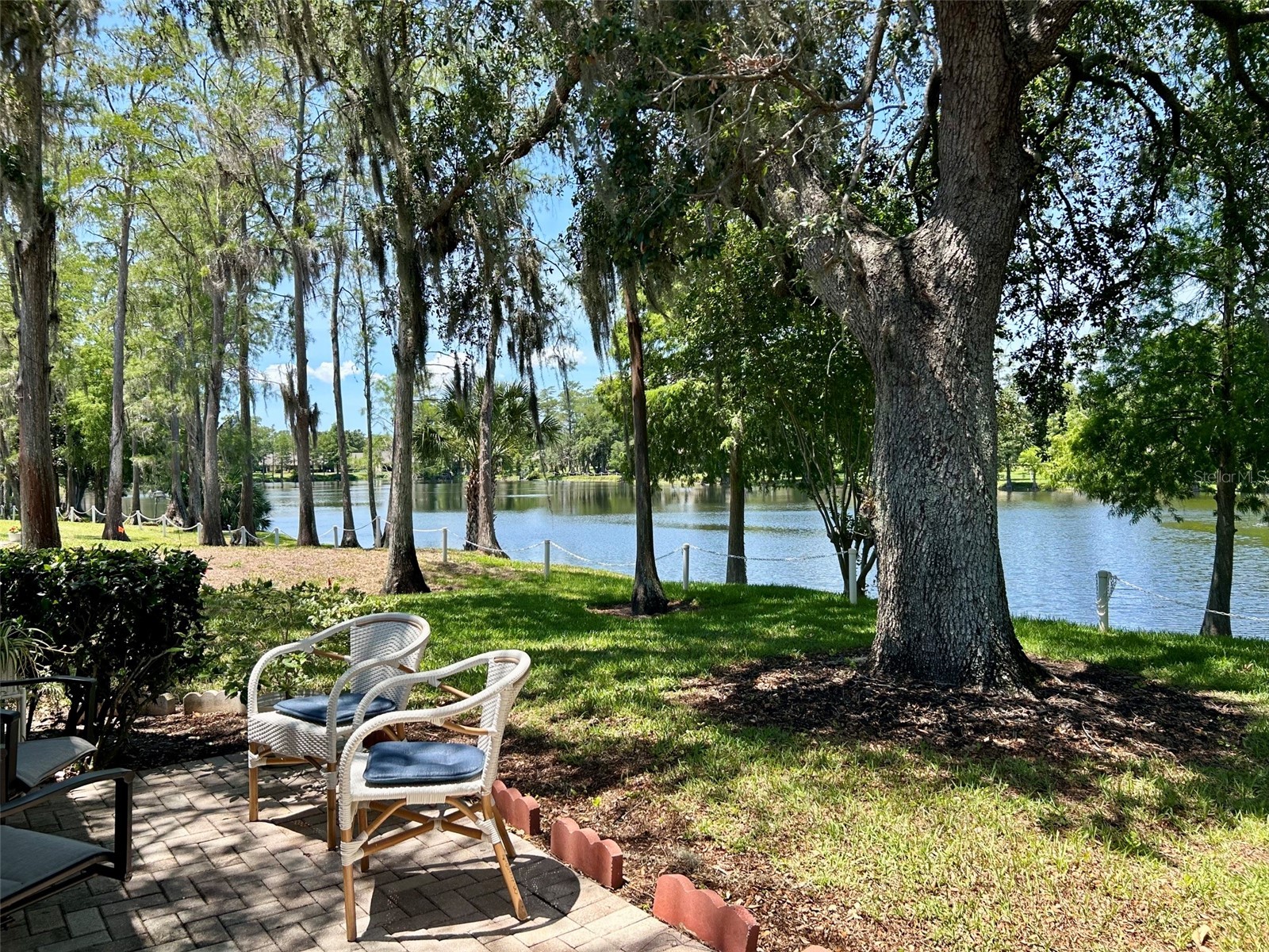 2572 Laurelwood Drive #12A Clearwater FL 33763 TB8511541 image18