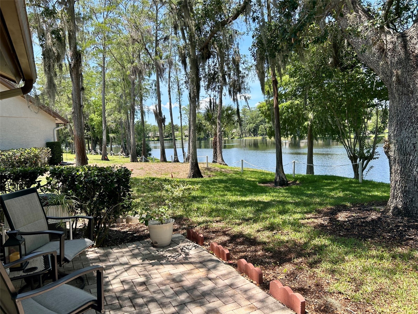 2572 Laurelwood Drive #12A Clearwater FL 33763 TB8511541 image19