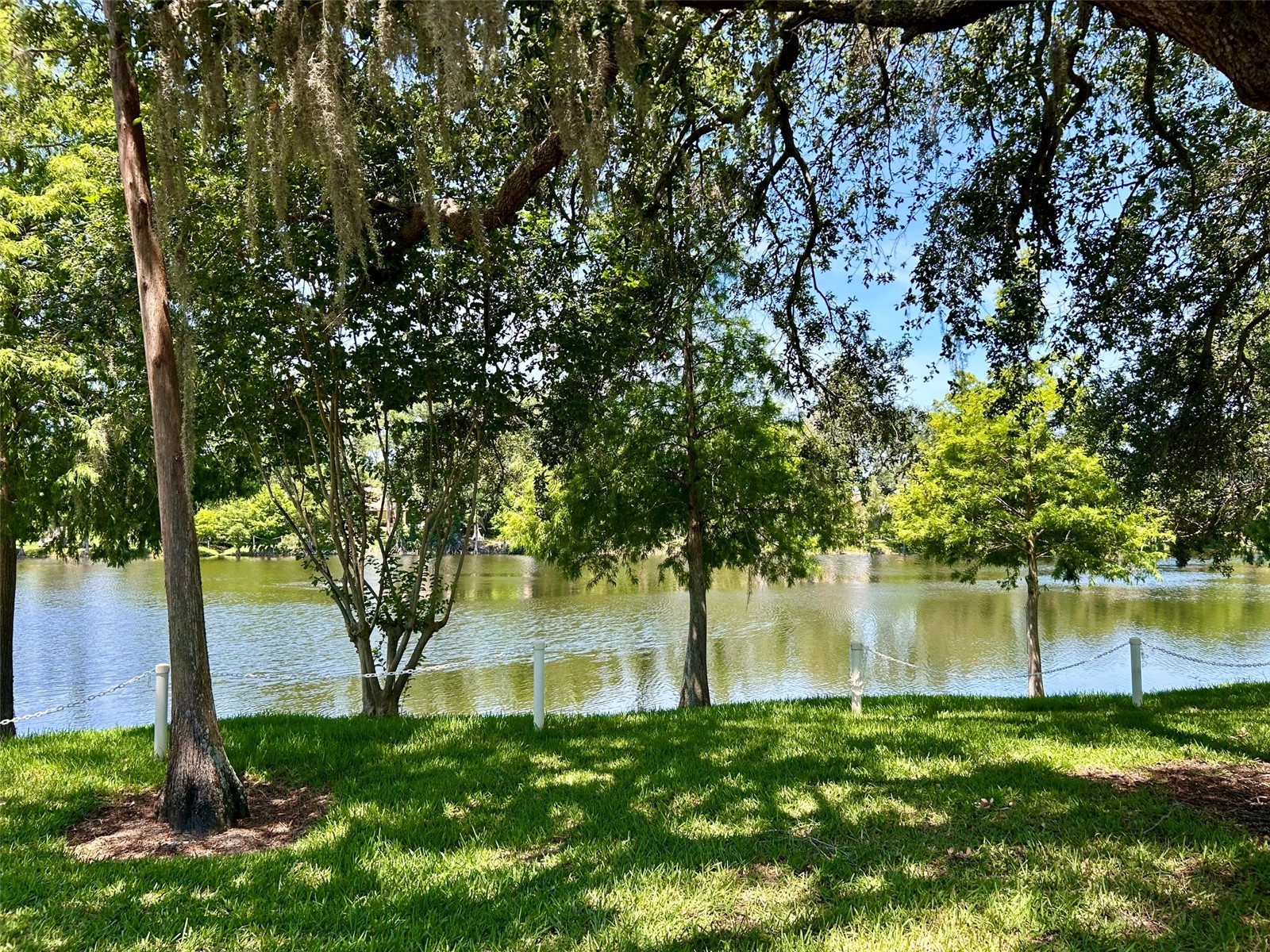 2572 Laurelwood Drive #12A Clearwater FL 33763 TB8511541 image2