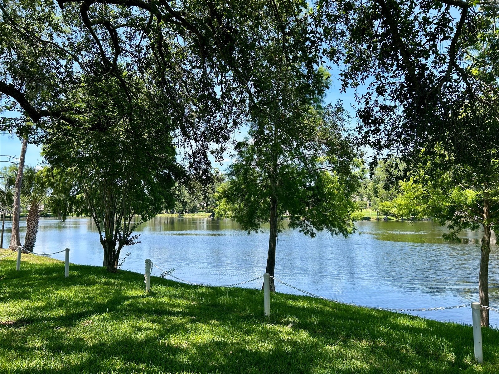 2572 Laurelwood Drive #12A Clearwater FL 33763 TB8511541 image21