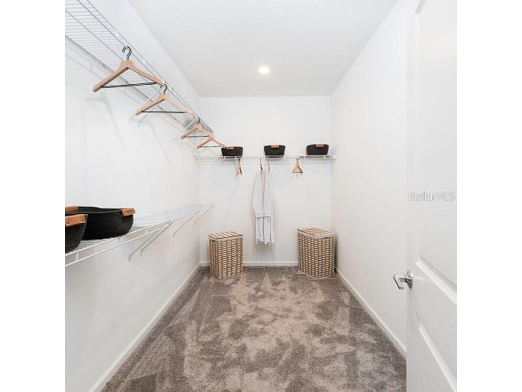 2572 Rider Rain Lane Apopka FL 32703 O6365135 image18