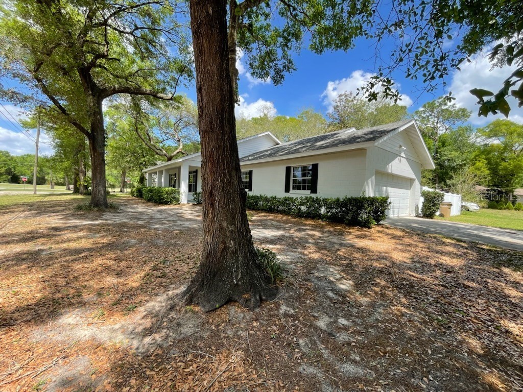 25721 Pinehurst Street Sorrento FL 32776 O6296409 image1