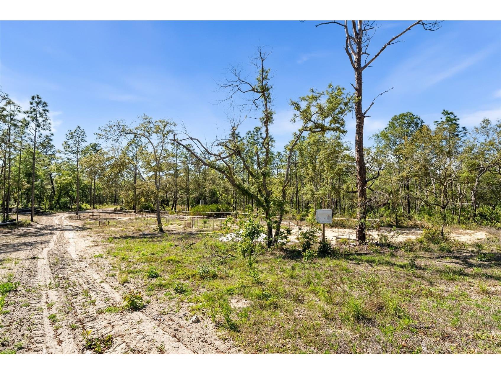 25723 Bareva Road Weeki Wachee FL 34614 GC539612 image23