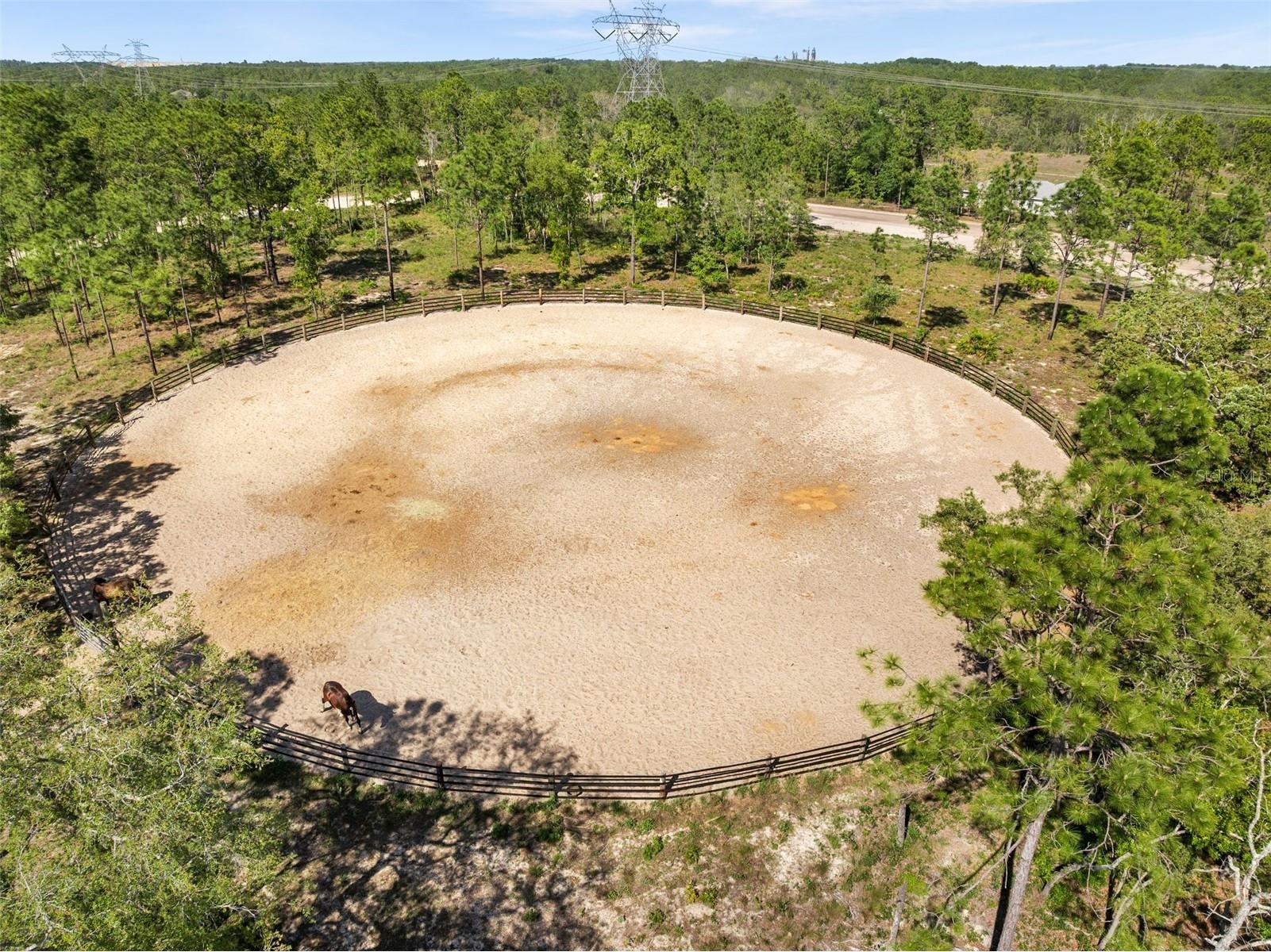 25723 Bareva Road Weeki Wachee FL 34614 GC539612 image4