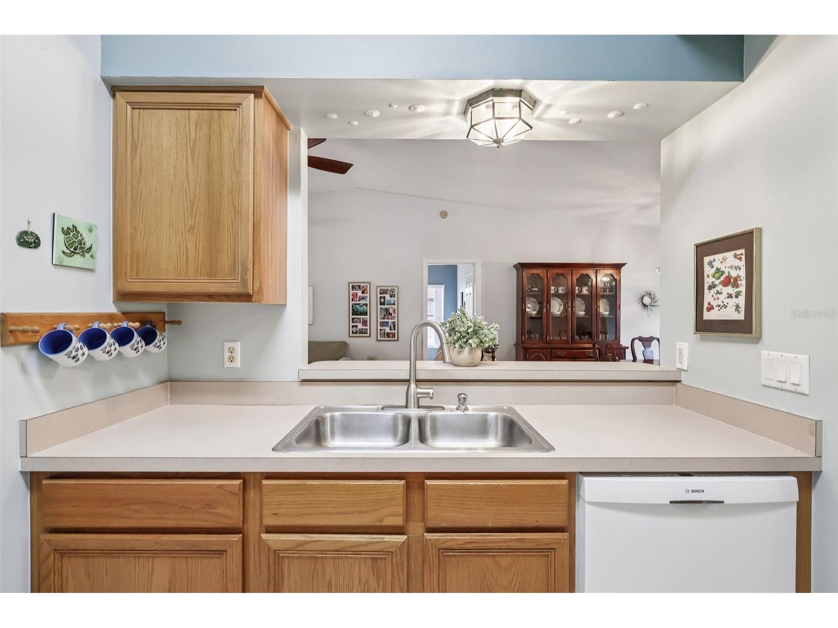 25723 Belle Alliance Leesburg FL 34748 G5110891 image21