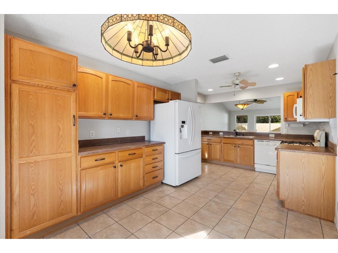 2573 Caribe Drive The Villages FL 32162 G5102938 image17