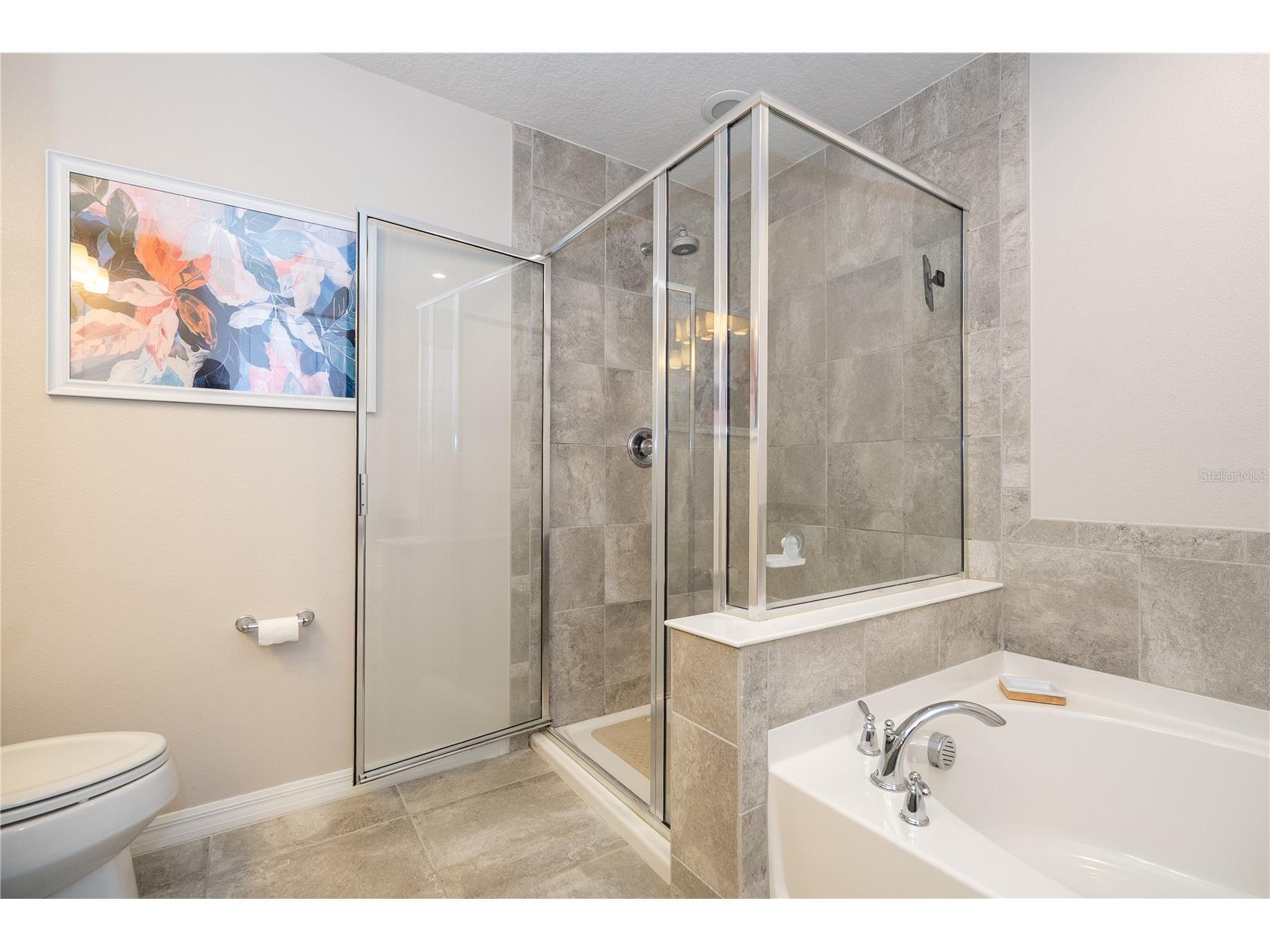 2573 Folio Way Kissimmee FL 34741 O6401958 image46
