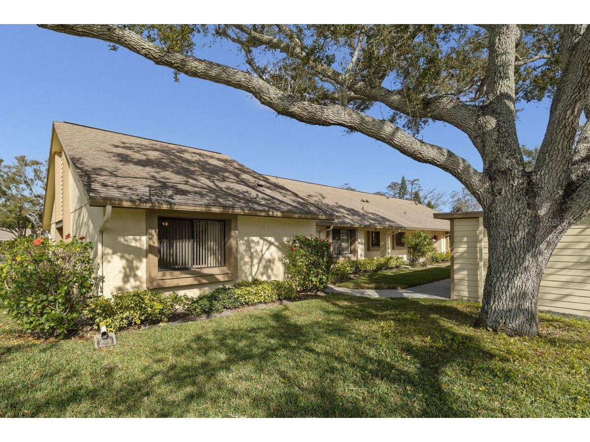2573 Oakleaf Lane #39A Clearwater FL 33763 TB8478250 image1