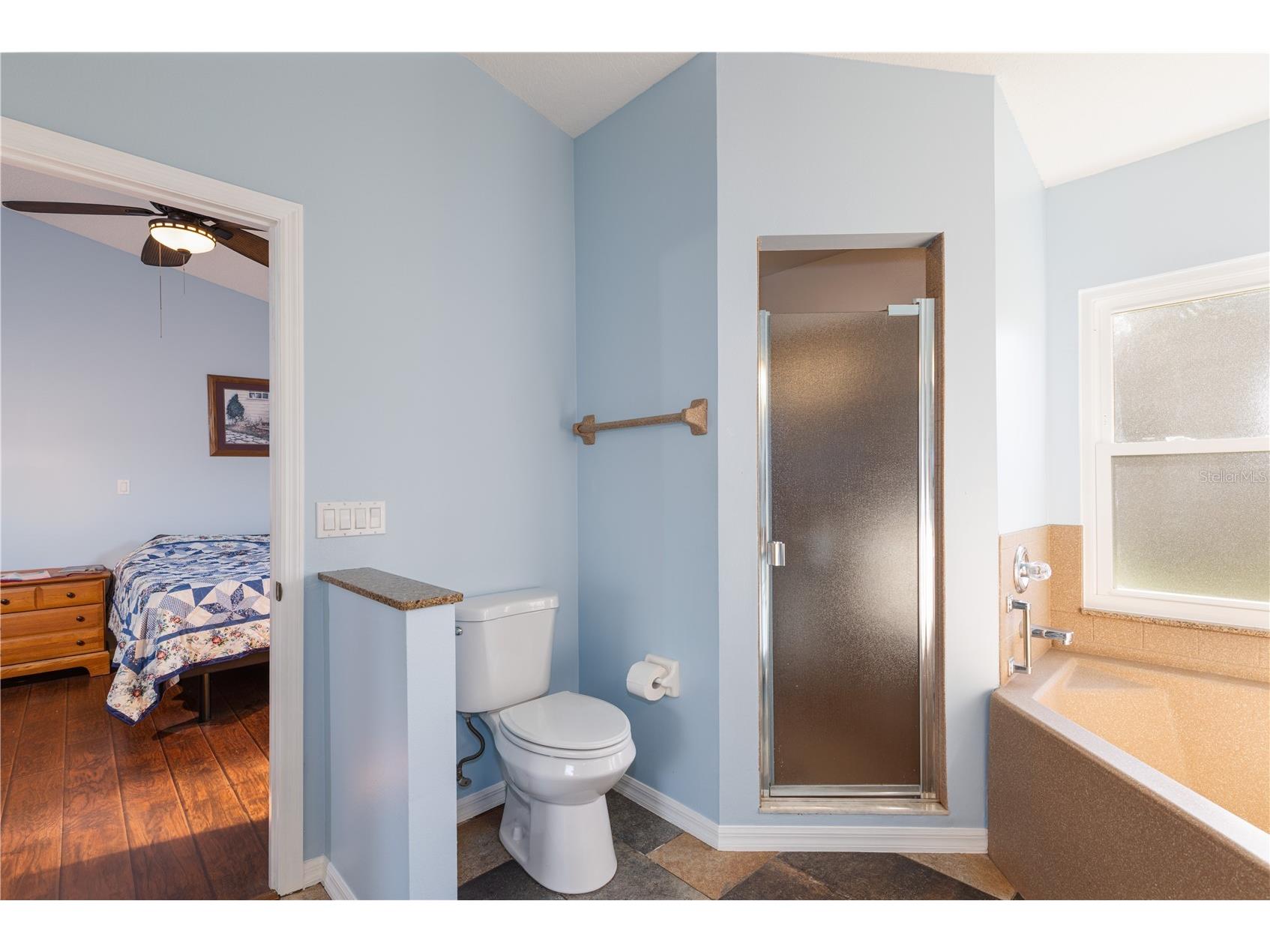 25735 Glen Eagle Drive Leesburg FL 34748 G5106539 image20