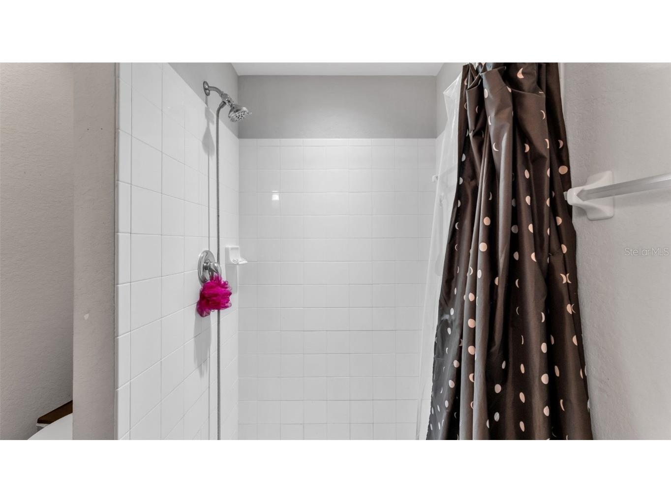 2574 Highlands Creek Way Lakeland FL 33813 L4956976 image30